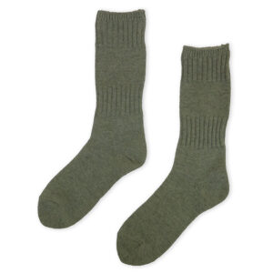 DMS005739