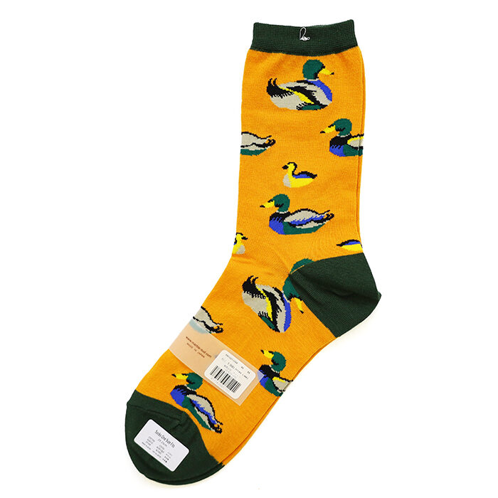 DMS006105