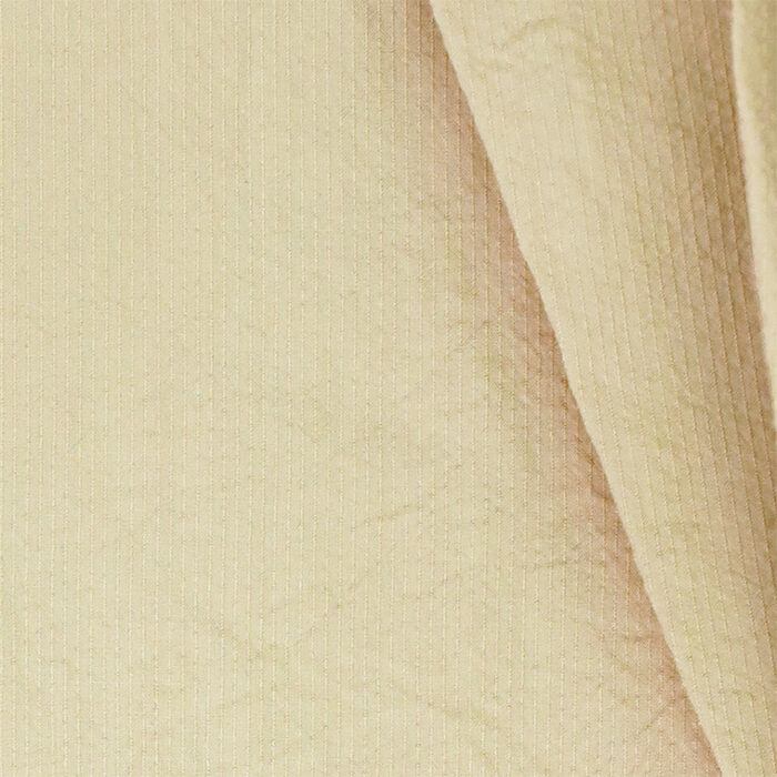 DMS006245