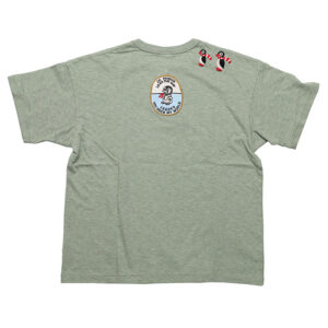 DMS008077