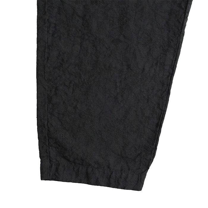 DMS008095