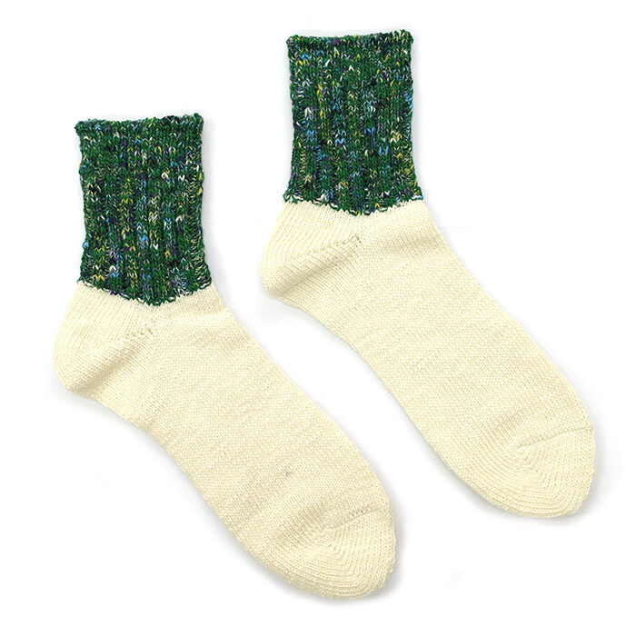 DMS008126