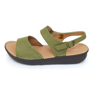 DMS010342