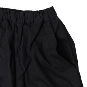 DMS011900