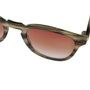DMS011970